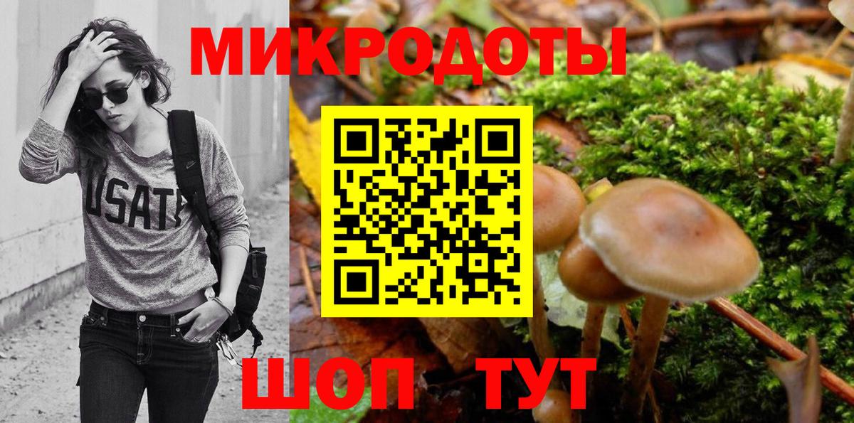 Галлюциногенные грибы Psilocybine cubensis Коряжма