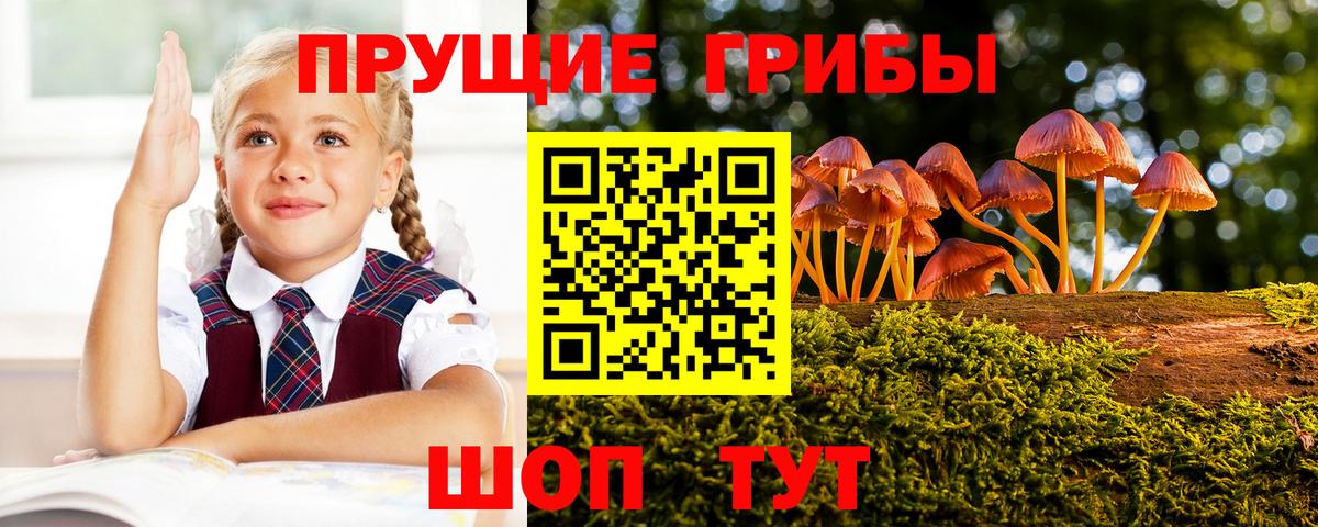 Псилоцибиновые грибы Psilocybine cubensis  Вход с VPN  Коряжма 